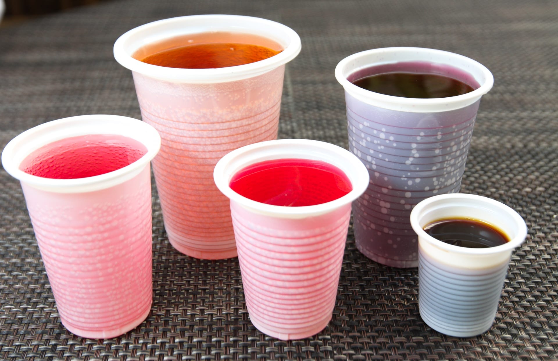 Vasos desechables Kangupor