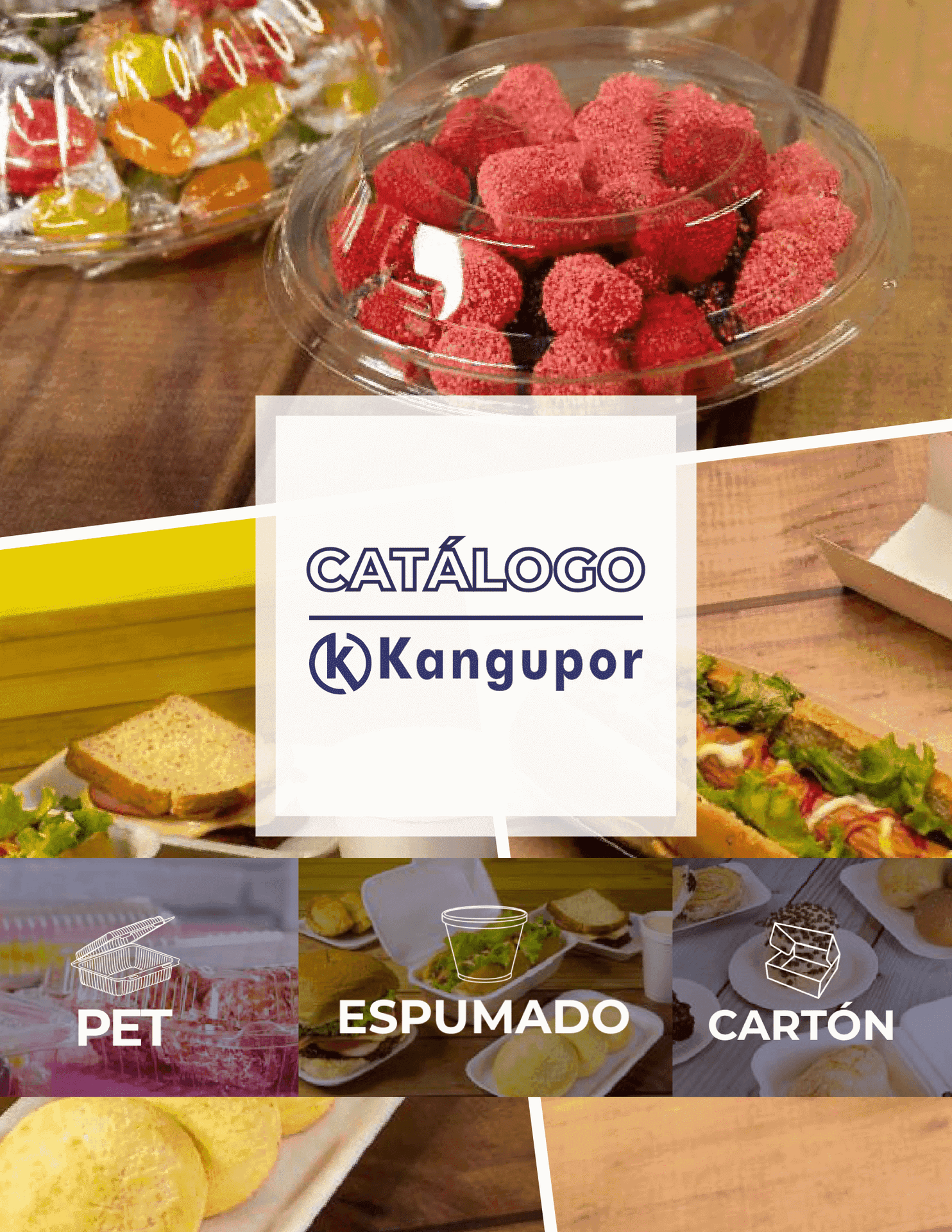 Catálogo Desechables Kangupor